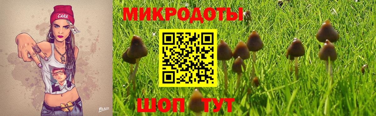 Краснознаменск  Псилоцибиновые грибы GOLDEN TEACHER  Вход с VPN 